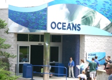 oceansfrontofbuilding.jpg